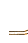 peta_amy_r3c1.gif (1235 bytes)